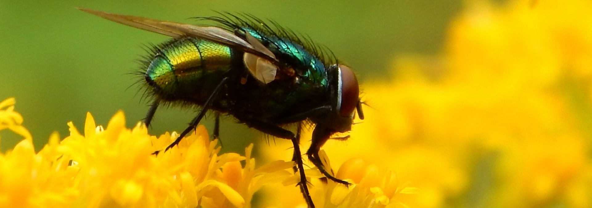 dokumenty-d-ve-narozen